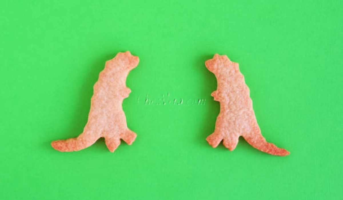 Dinosaur cookie: our best recipe - ChezVera