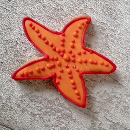 Cookie Cutter Starfish