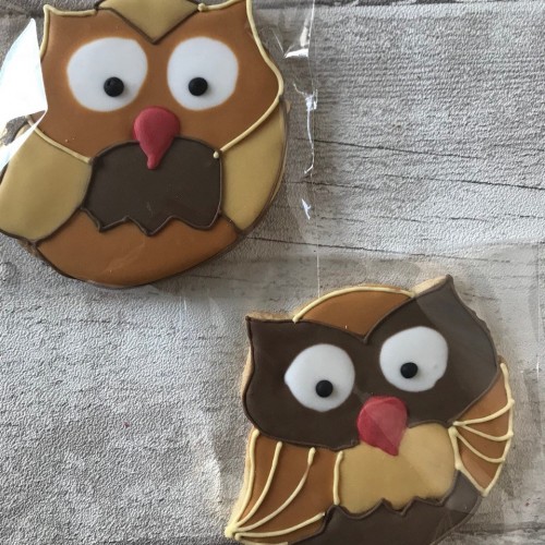 Cookie Cutter Owl III