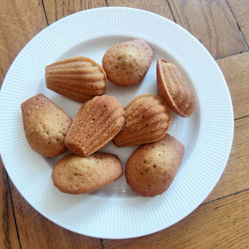Mini Madeleines moulds - 20 individual pieces